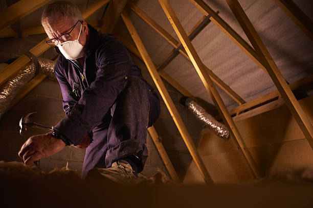 Best Insulation Maintenance and Repair in Wheelersburg, OH