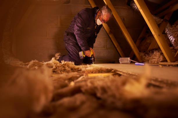Best Insulation Installation Services in Wheelersburg, OH